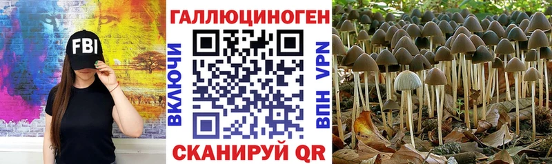 Галлюциногенные грибы Psilocybine cubensis  где можно купить наркотик  Пущино 